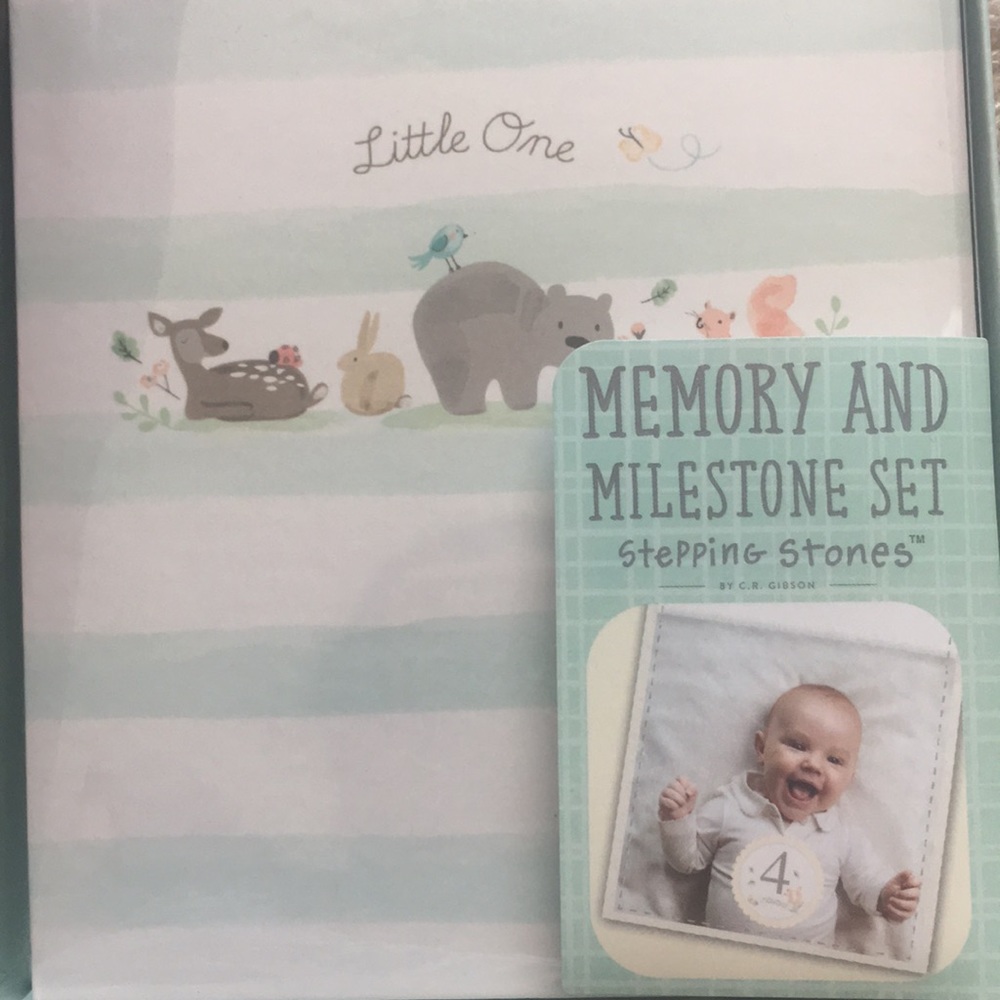 Memory and Milestone Set